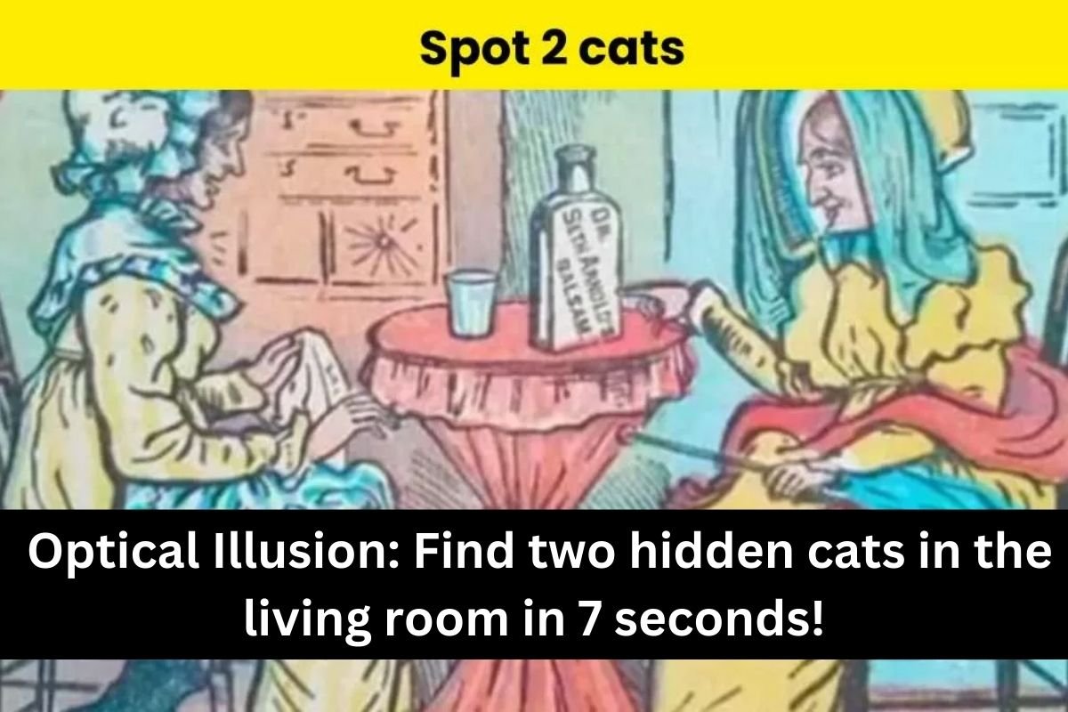 Optical Illusion Find two hidden cats in the living room in 7 seconds!